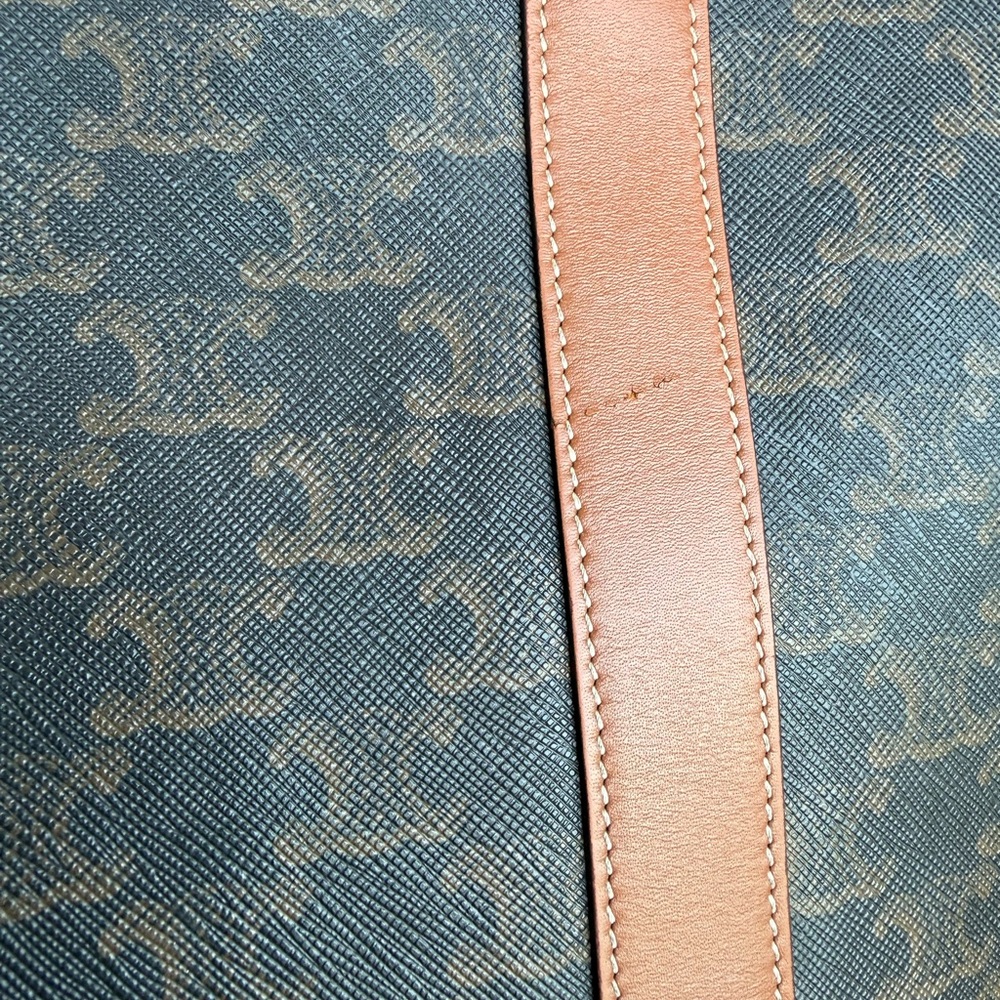 Celine Medium Bucket in Triopmhe Canvas and Calfskin - Picture 6 of 9